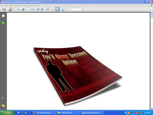 Product picture Why You Will Never Succeed Online!